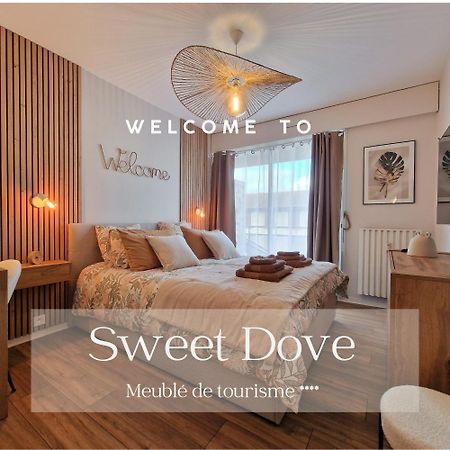 Sweet Dove Apartment Chambéry Exterior photo